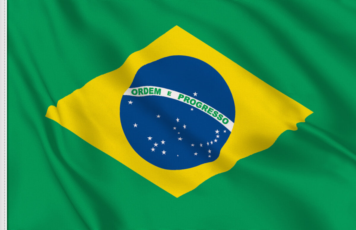 BRAZILIAN FLAG